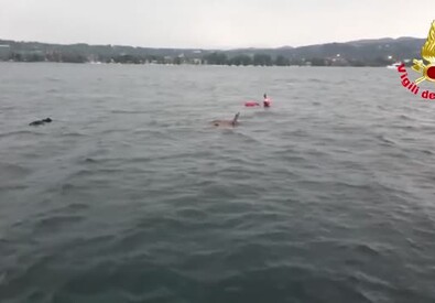 Si ribalta una house-boat sul Lago Maggiore, quattro vittime
