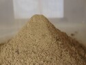 Efsa, 'la polvere di tarme farina trattata con Uv è sicura' (ANSA)