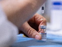 Accordo Ue-Pfizer per ridurre le dosi dei vaccini contro il Covid-19 (ANSA)