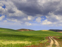 SPRINGTIME. Between Apulia and Basilicata. Hilly landscape with country road through wheat field end poppies dominated by clouds.Italy. (ANSA)