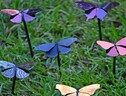 Sono leggerissime e sfruttano un fenomeno simile a quello osservato sulle ali delle farfalle, le vernici supersottili ispirate alla fisica quantistica (fonte: Università della Florida Centrale) (ANSA)