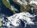 Un ciclone nel Mediterraneo ripreso dai satelliti nel 2016 (fonte: NASA Earth Observatory, immagine di Jesse Allen, dati di Land Atmosphere Near real-time Capability for EOS (LANCE), Kathryn Hansen) (ANSA)