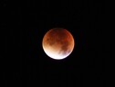 Il 5 maggio appuntamento è con un’eclissi di penombra di Luna (fonte: Pixabay) (ANSA)