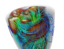 Pronto il primo gemello digitale del cuore umano (fonte: Politecnico di Milano) (ANSA)