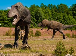 I T-rex vissuti sulla Terra sono stati complessivamente 1,7 miliardi (fonte: Pixabay) (ANSA)