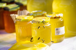 Il miele del Friuli-Venezia Giulia e del Veneto a Bruxelles