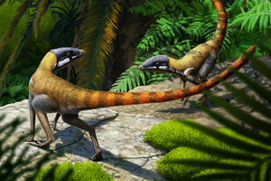Ricostruzione artistica dell'antenato dello pteurosauro, lo Scleromochlus taylori (fonte: Gabriel Ugeuetto) (ANSA)