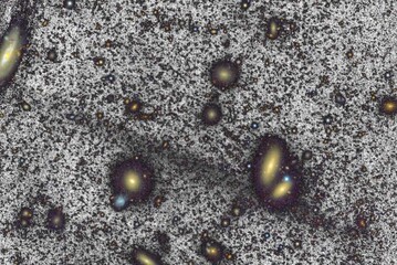 La striscia nera è il flusso di stelle che corre tra le galassie, visibili in giallo (fonte: William Herschel Telescope/Roman et al.)