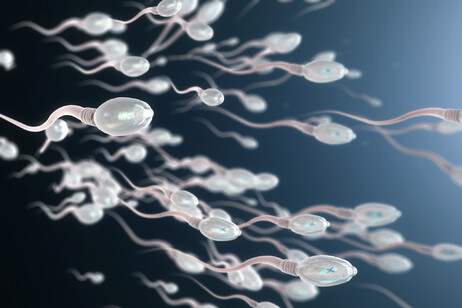 Rappresentazione artistica di spermatozoi (fonte: Christoph Burgstedt, da iStock)