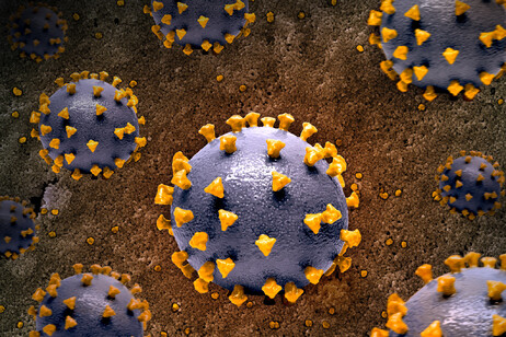 Particelle del virus SarsCoV2 stampate in 3D (fonte: NIAID, da Flickr)