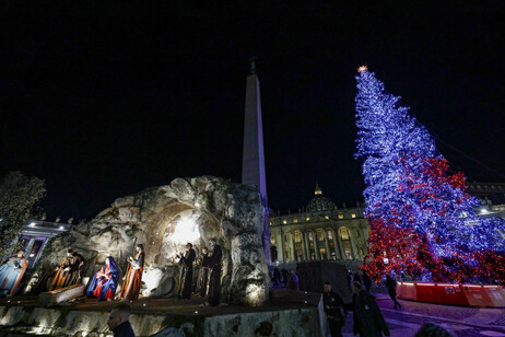 Nativity Scene and Christmas Tree in St Peter's Square