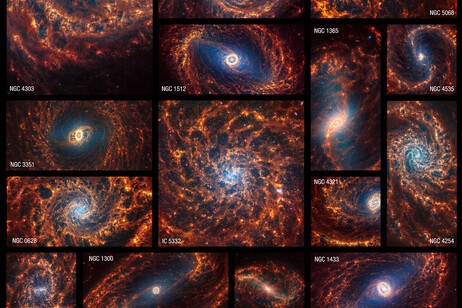 Le 19 galassie a spirale ritratte dal telescopio James Webb (fonte: NASA, ESA, CSA, STScI, J. Lee - STScI, T. Williams - Oxford, PHANGS Team, E. Wheatley - STScI)