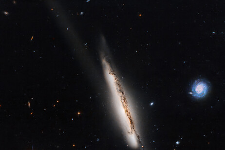 La galassia Arp 295a (fonte: NASA/ESA/J. Dalcanton/University of Washington/R. Windhorst/Arizona State University,Gladys Kober/NASA/Catholic University of America)