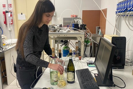 Un naso elettronico per certificare la qualità del vino