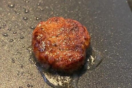 L'hamburger di funghi modificati ha un aspetto allettante e simile all'originale (fonte: Vayu Hill-Maini)
