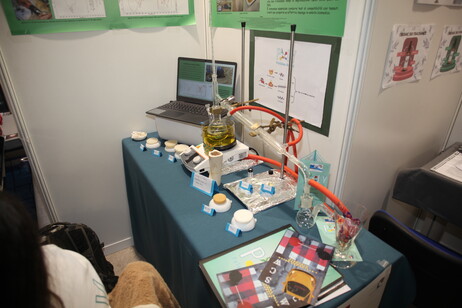 Il progetto sui biopolimeri dal ricino, esposto nell'evento 'I giovani e le scienze' (fonte: FAST)