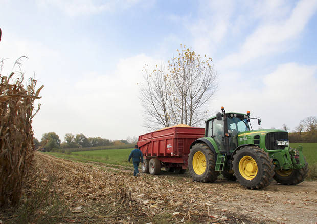 Agroalimentare, in Toscana corso pilota per innovazione (foto: Ansa)
