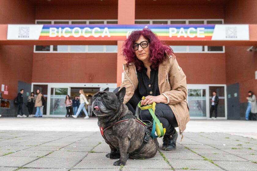 Rivoluzione universita ' Bicocca: cani e gatti potranno stare in ufficio insieme ai padroni - RIPRODUZIONE RISERVATA