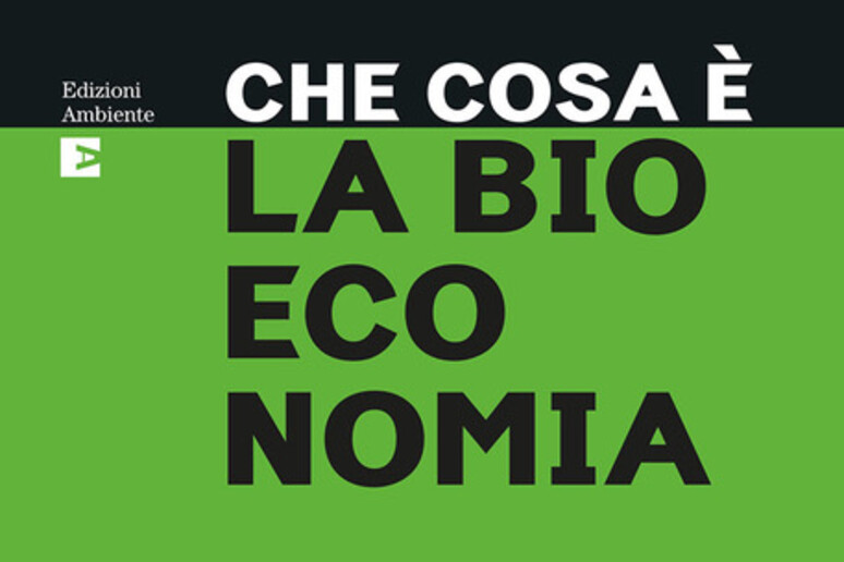 'Che cosa è la bioeconomia ' di Mario Bonaccorso con Irene Banos Ruiz, Edizioni Ambiente - RIPRODUZIONE RISERVATA