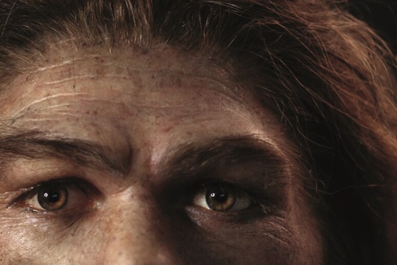 ‘L’ultimo Neanderthal racconta. Storie prima della storia’, di Giorgio Manzi (Il Mulino, 221 pagine, 15 euro) - RIPRODUZIONE RISERVATA