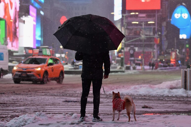 Times Square, New York © ANSA/AFP