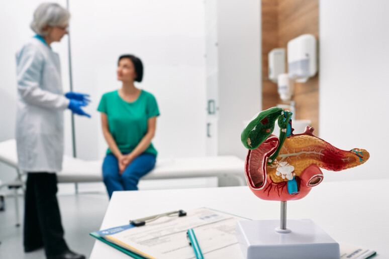 Gastroenterology consultation. Anatomical model of pancreas on doctor table over background gastroenterologist consulting woman patient with gastrointestinal disorders -     RIPRODUZIONE RISERVATA