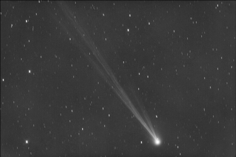 La cometa Nishimura fotografata il 5 settembre 2023 dal Virtual Telescope Project, a Manciano (Grosseto) (fonte: Gianluca Masi/Virtual Telescope Project) - RIPRODUZIONE RISERVATA