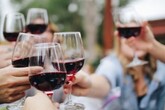 L'Ue riconosce la Dop ai vini dell'Emilia-Romagna (ANSA)