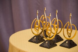 Il Golden Goose Award premia le migliori ricerche di base statunitensi (fonte: Golden Goose Award, Facebook)