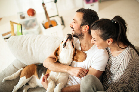 Un cane felice con la sua famiglia foto iStock.