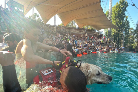 A prova di zampa :  il 24 e 25 giugno il parco Zoomarine dedica una due giorni in collaborazione con la Sics, la celebre Scuola Italiana Cani di Salvataggio