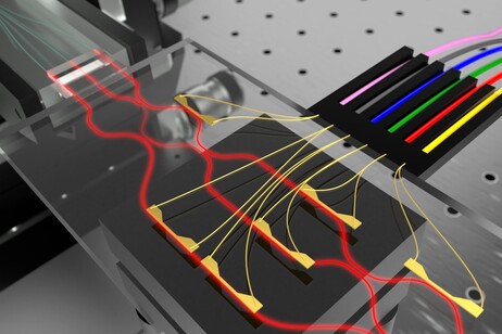 Quanti di luce per il nuovo computer quantistico europeo (fonte: QuantumLab Sapienza)