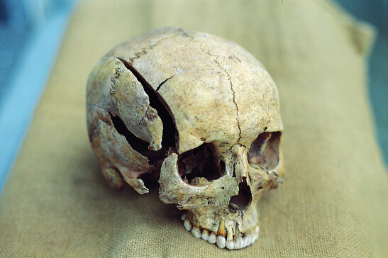 L’evoluzione della violenza nell’antichità svelata da oltre 3.500 scheletri trovati in Medio Oriente (fonte: Joachim Wahl/Università di Tubinga)