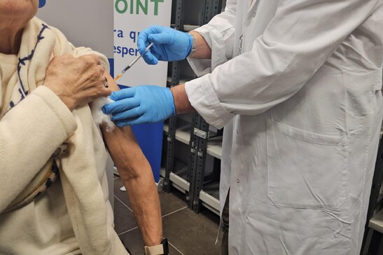Primo via libera dall'Ue a due vaccini contro l'aviaria H5N1