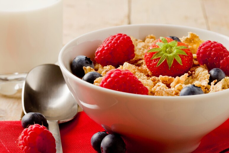 Cereali da colazione - RIPRODUZIONE RISERVATA
