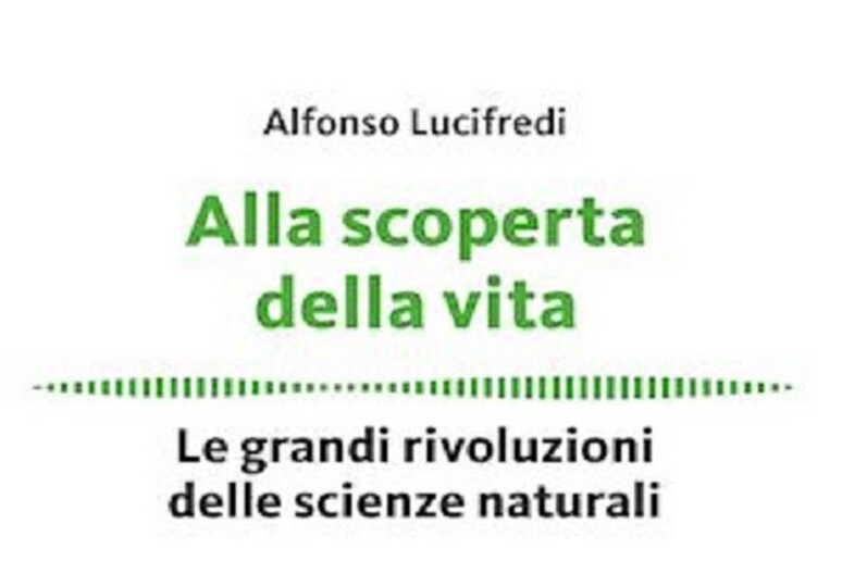 “Alla scoperta della vita”, di Alfonso Lucifredi (Hoepli, 166 pagine, 12,90 euro) - RIPRODUZIONE RISERVATA