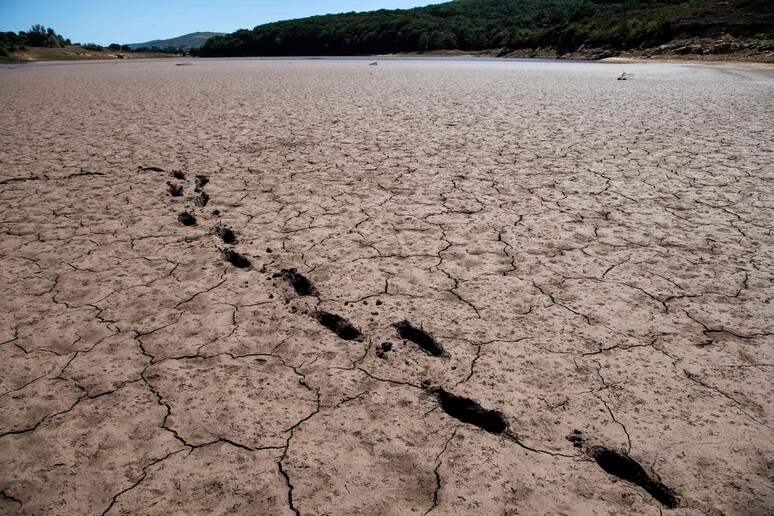 Un terreno arido a causa della siccità © ANSA/AFP